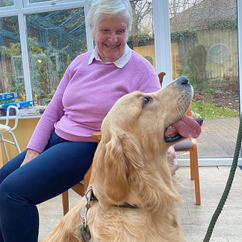 Wantage resident June spends time with aa Golden Labrador